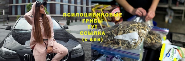 ГАЛЛЮЦИНОГЕННЫЕ ГРИБЫ Алексеевка