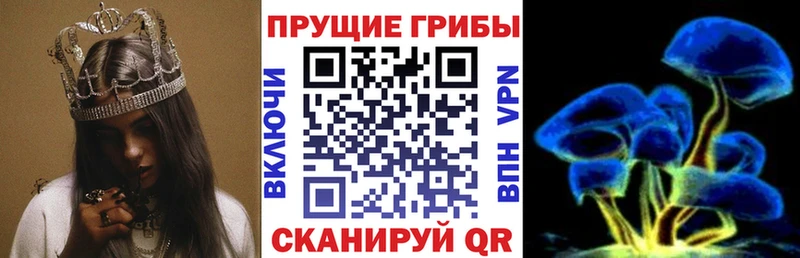 Псилоцибиновые грибы MAGIC MUSHROOMS магазин продажи наркотиков Нарткала